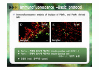 [세포생물학] Pax4 gene expression에 의한 Insulin 생성세포 분화촉진-16