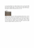 [한국문화사] 조선왕조 도읍의 경계와 통로-서울 성곽과 사대문 답사보고서-11