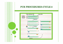 [생물공정공학] 중합효소 연쇄 반응(polymerase chain reaction, PCR)(영문)-5