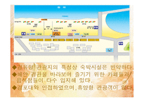 [관광개발론] 강릉 안목 해안의 관광명품화를 위한 획기적인 해안 개발방안-9