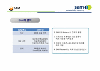 [금융론] SAM의 SRI와 한국 사회에의 적용-5