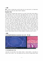 [응용분자생물학] 유도만능줄기세포(iSP cell) 설계-2