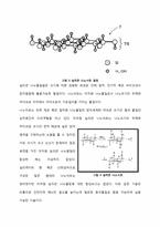 [화학공학] LIB 음극재료로 응용 가능한 실리콘 나노시트 합성-7