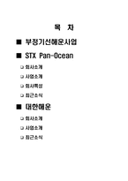 [국제운송론] 부정기 해운기업-STX Pan-Ocean, 대한해운-2