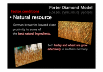 [국제경영] 포터다이아몬드모델(Porter Diamond Model)을 이용한 독일 맥주산업의 경쟁력 고찰(영문)-8