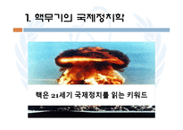 [국제기구론] 핵무기와 IAEA-4