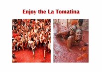 스페인 토마토 축제와 브라질 삼바축제(영문)-8