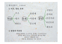 [동양연극론] 한국전통극과 동양전통극의 비교-15