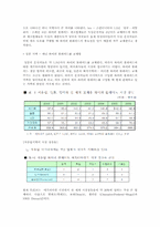 [글로벌마케팅] CAP(캐프)의 한국시장 진출 사례 분석-4