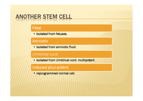 [동물생식학및실험] 배아줄기세포와 성체줄기세포-9