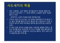 [역사학] 드라마 `이산`과 `정조`-8
