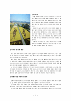 미개발된 곳을 중심으로 한 지속가능한 관광상품의 개발 -김해평야-11