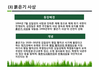 북한의 정치이념과 권력구조적 특징-13