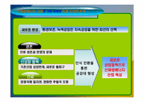 [한국경제의 이해] 우리나라의 환경산업의 비전과 육성을 위한 대안(국내신재생에너지 현황 및 제언)-20
