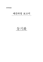[재무행정론] 동기화-1