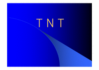 [국제물류운송기업론] TNT분석-1