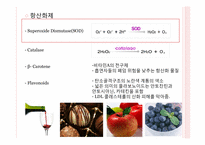 [식품영양] 제주 자생식물로부터 항산화 및 화장품 기능성 소재 탐색-11