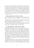 [경영학] `태양의 서커스단` 리스크에 대한 대응과 수익 창출-8