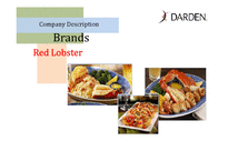 [외식경영론] Darden Restaurants, Inc. 분석(영문)-9