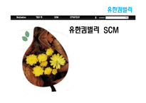[공급사슬관리] 유한킴벌리 SCM-1
