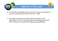 [의약학] 논문요약-Inhibitory Effects of Fucoidan in 3T3-L1 Adipocyte Differentiation(영문)-12