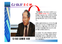 [경영정보] CJ그룹 MIS 성공사례-17