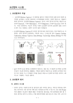 [기술축적론] 3D 신체동작 인식과 모션캡쳐 기술동향-3