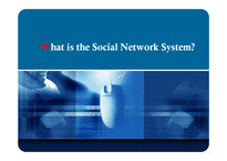 Social Network System(SNS) 사업분석(영문)-15