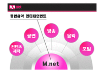 [경영학] 엠넷(Mnet)미디어 기업 소개 및 분석-5