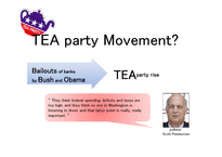 미국 조세저항운동(TEA party)이 미국 정책에 미치는 영향(영문)-15