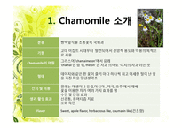 [식품향미학] Chamomile(카모마일) 티백의 휘발성 향기성분 분석-4