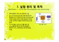 [식품향미학] Chamomile(카모마일) 티백의 휘발성 향기성분 분석-8