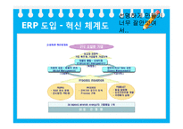[생산관리] 삼성SDI SAP ERP 성공사례-10
