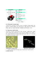 [화학공학설계] 에탄올 생산 공정 프로젝트-2