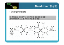 [고분자개론 설계] Dendrimer로 코팅된 탄소나노튜브-14