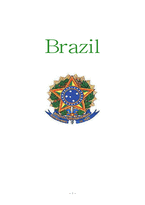 브라질 문화와 매너-1