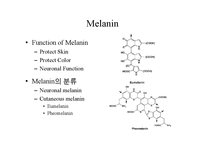 [약리학실험] Melanin Transfer Inhibition by Trypsin Inhibition(영문)-3