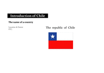 [국제경영] 칠레 국가 평가 보고서-4
