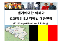 벨기에대한 이해와 효과적인 EU 경쟁법 대응전략(EU Competition Law & Policy)-1