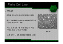 Cell line 레포트-10