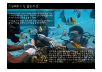 [레포트] 해양스포츠 스쿠버 다이빙 - PPT-5