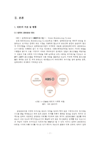 [신문방송학] 공영방송 KBS의 역할과 수용자 복지-문제점과 공영방송 역할 강화 방안-5
