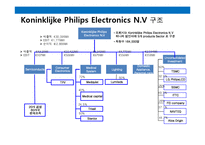 유럽 최대의 전자그룹 Philips(필립스)의 경영전략-7