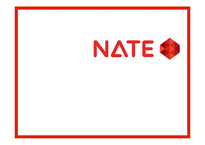 [서비스마케팅] 네이트 NATE 기업환경 분석 및 향후 전망-1
