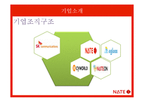 [서비스마케팅] 네이트 NATE 기업환경 분석 및 향후 전망-4