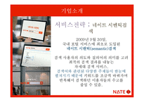 [서비스마케팅] 네이트 NATE 기업환경 분석 및 향후 전망-12