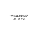 [사회복지] 반포종합사회복지관 -청소년 분야-1