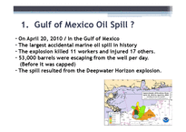 멕시코 기름유출사태분석(Gulf of Mexico Oil Spill)(영문)-2