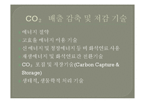 [생명과 환경] Carbon Capture&Storage(탄소 포집 및 저장기술CCS)기술을 이용한 CO2 배출 저감-3