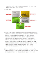 [경영전략] 피알존(PR-Zone) 기업 분석-10
